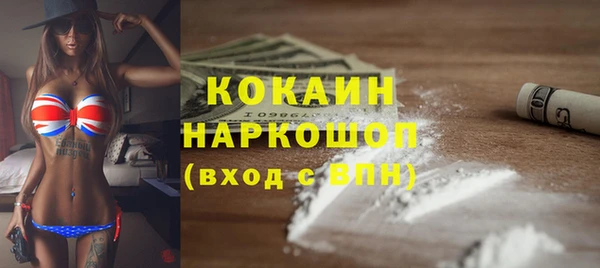 индика Абинск