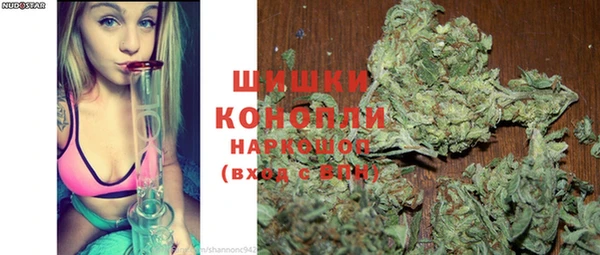 винт Туринск
