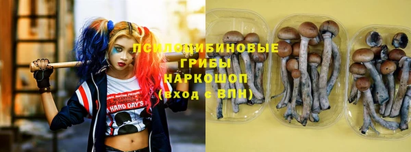 индика Абинск