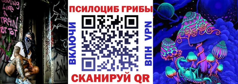 Псилоцибиновые грибы Psilocybe  Энем 